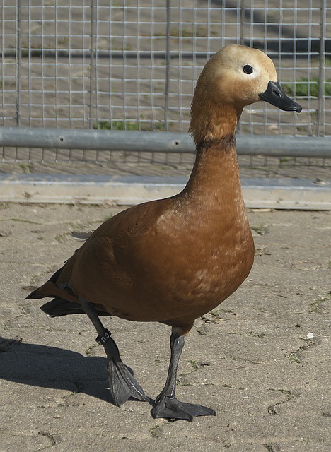 塑造和观众